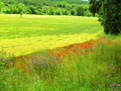 les divols en Ardeche du sud